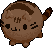 round chocolate cat