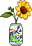 sunflower in a can