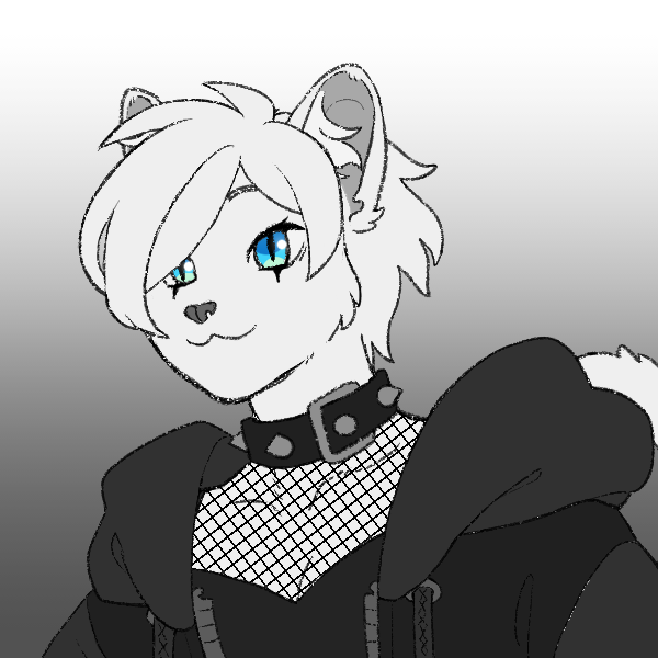 white anthro cat with short hair wearing spiked collar