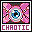 pink eyeball polaroid
